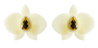 Gissa Bilcalho Orchid Earring-Cream